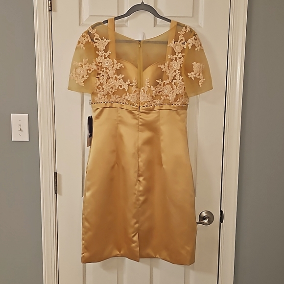 JJs House satin skirt delicate lace-embroidered bodice sheer short sleeves. - Picture 3 of 16